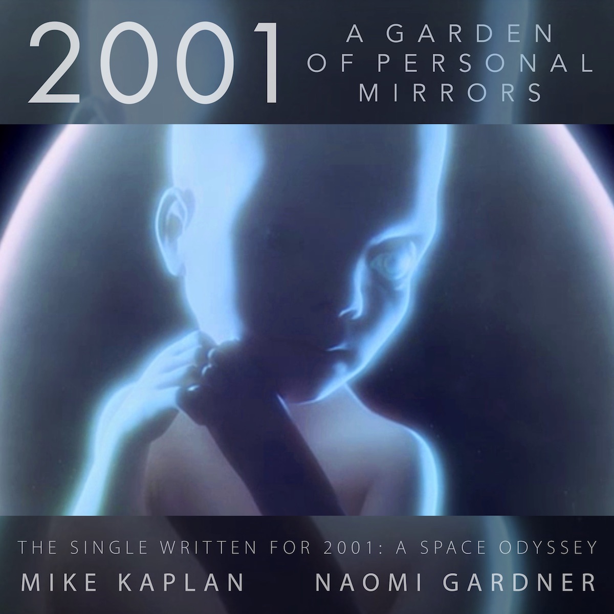 Mike Kaplan - 2001: A Garden of Personal Mirrors (The Single)